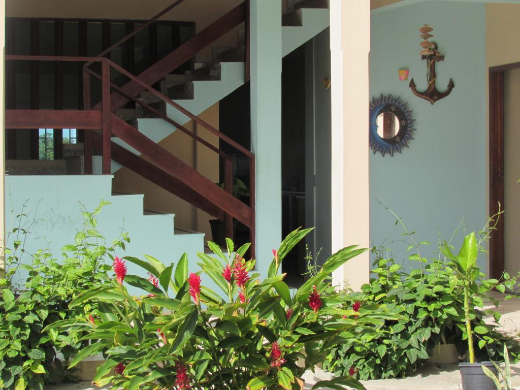 Tropical Prado