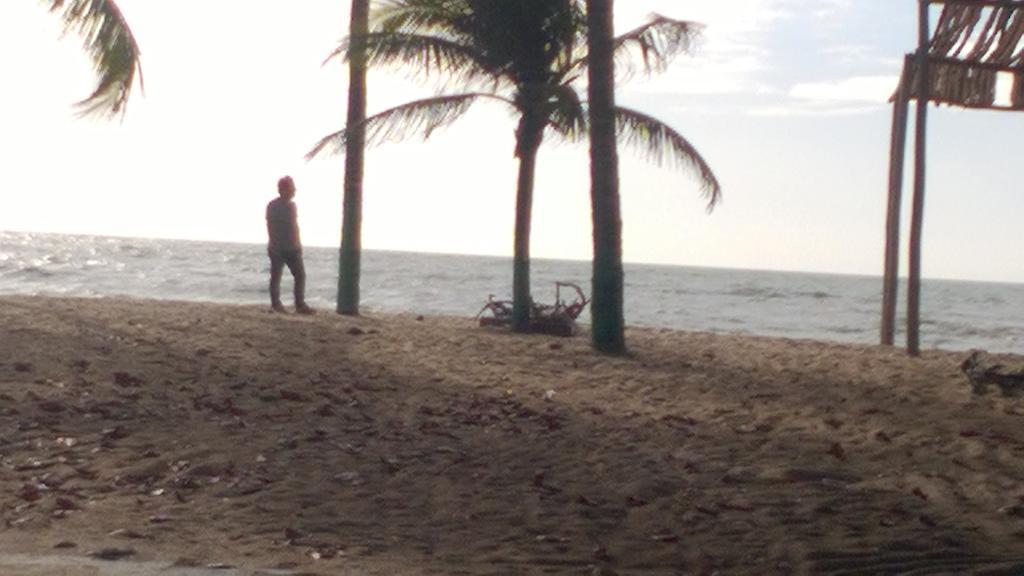 Tropical Prado